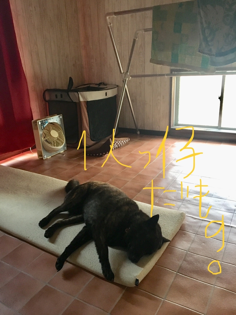 f:id:drunkard_kim:20190622080759j:plain