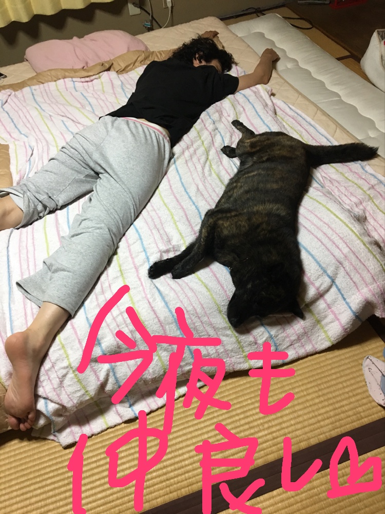 f:id:drunkard_kim:20190622081123j:plain