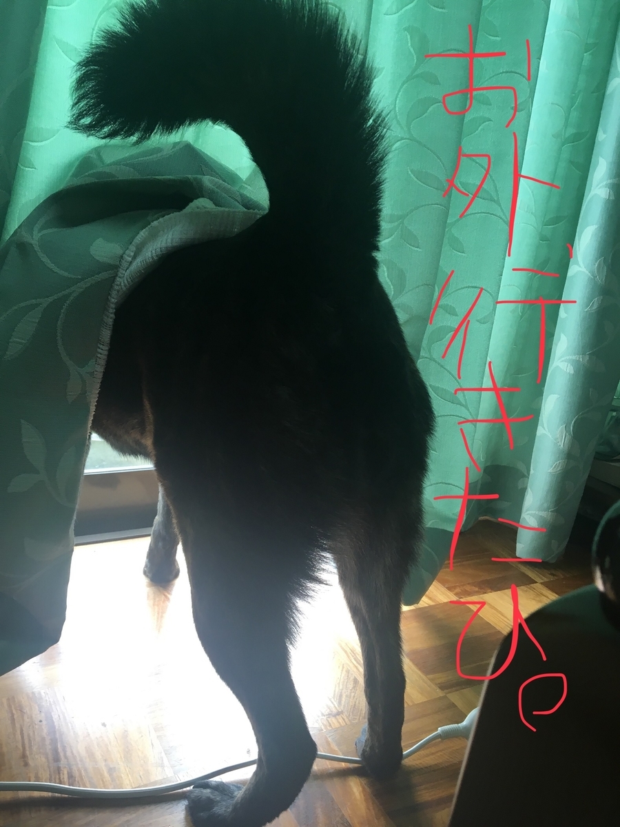 f:id:drunkard_kim:20190624083929j:plain