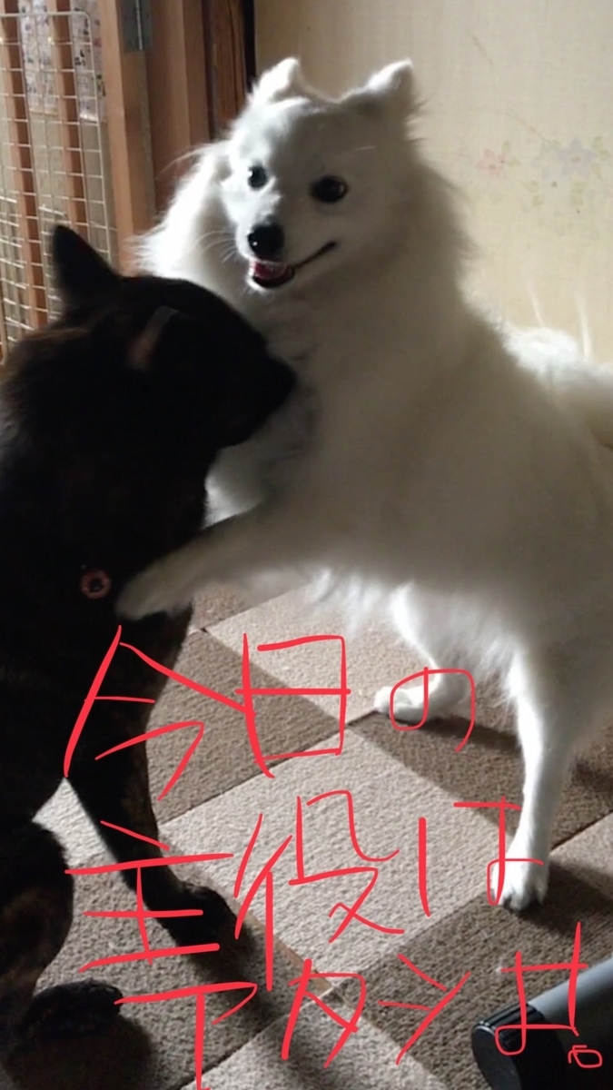 f:id:drunkard_kim:20190625090311j:plain f:id:drunkard_kim:20190625090311j:plain