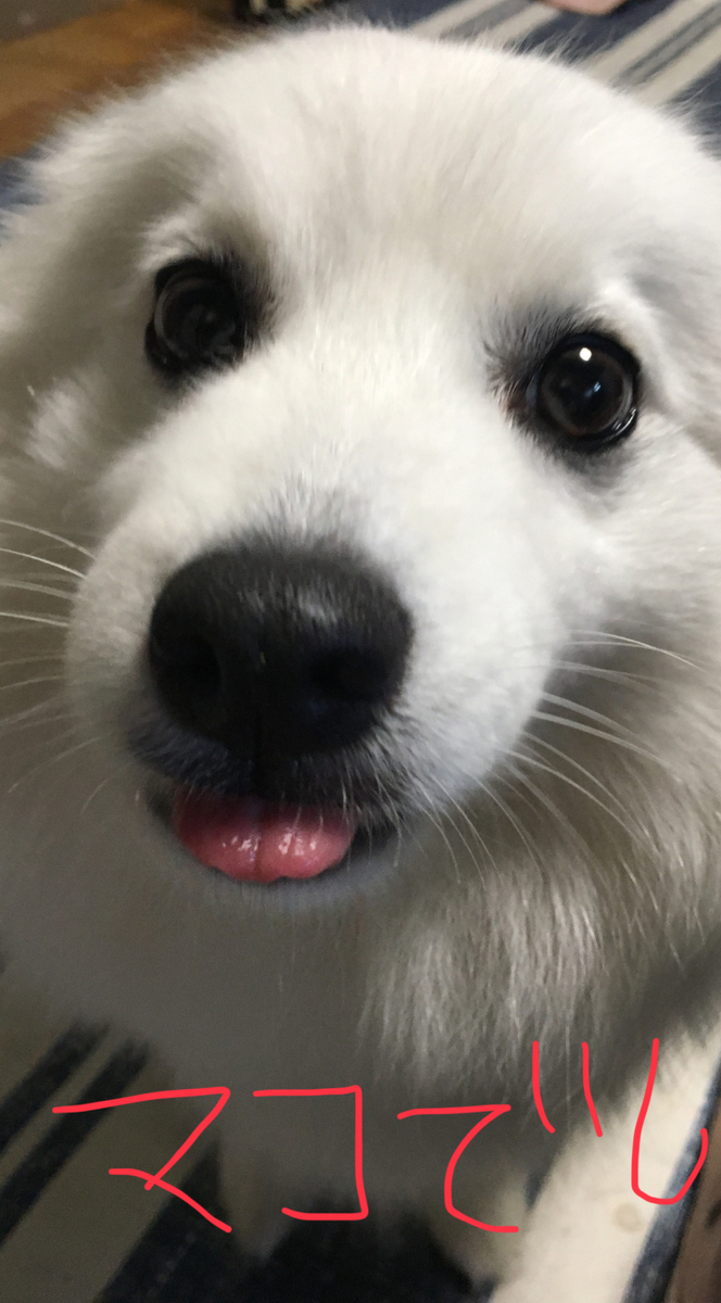 f:id:drunkard_kim:20190625090742j:plain f:id:drunkard_kim:20190625090742j:plain