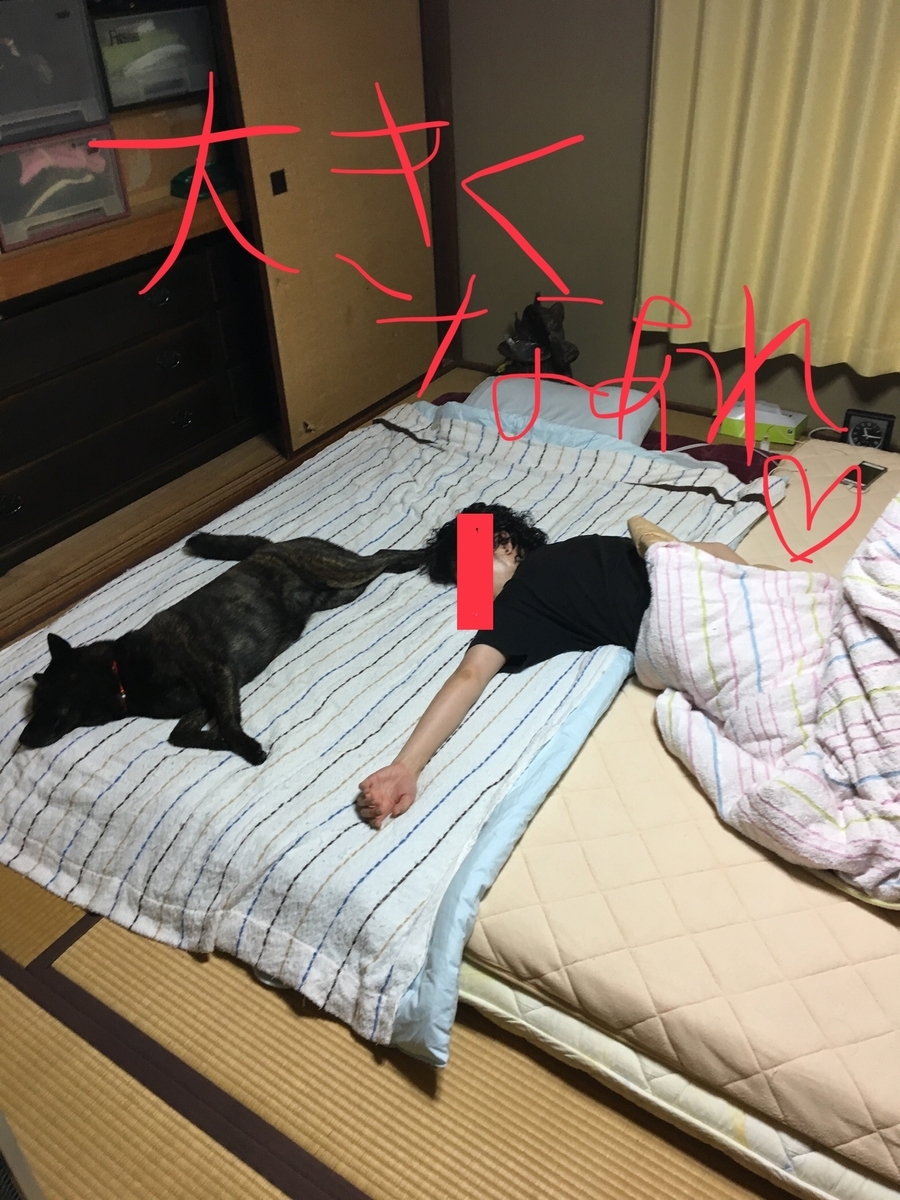 f:id:drunkard_kim:20190626080716j:plain