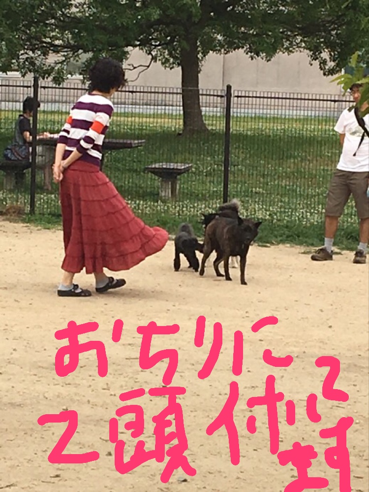 f:id:drunkard_kim:20190627081206j:plain