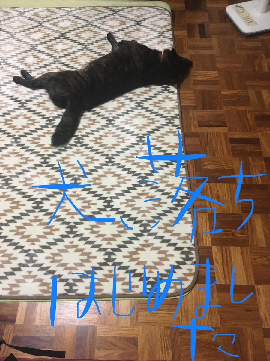 f:id:drunkard_kim:20190629075154j:plain