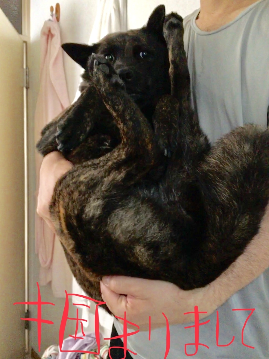 f:id:drunkard_kim:20190630150904j:plain