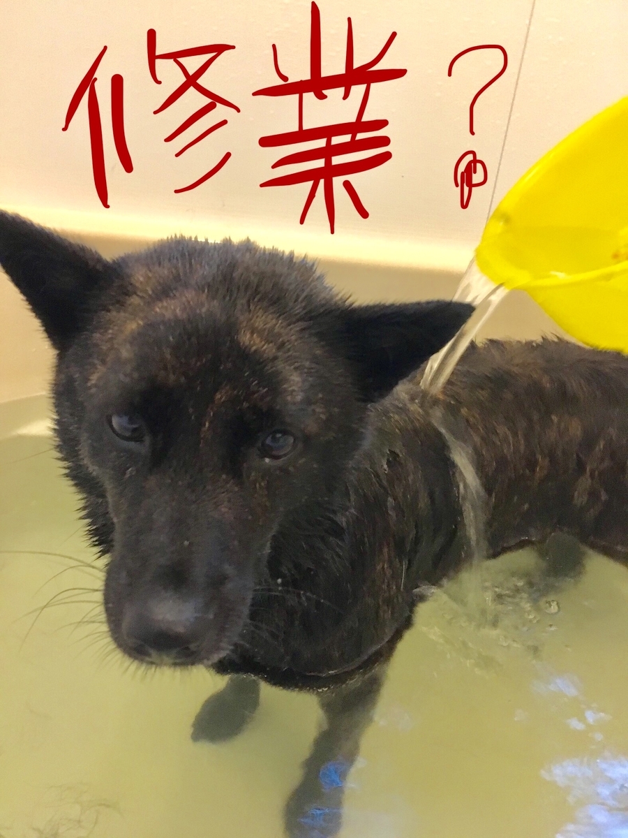 f:id:drunkard_kim:20190630151038j:plain