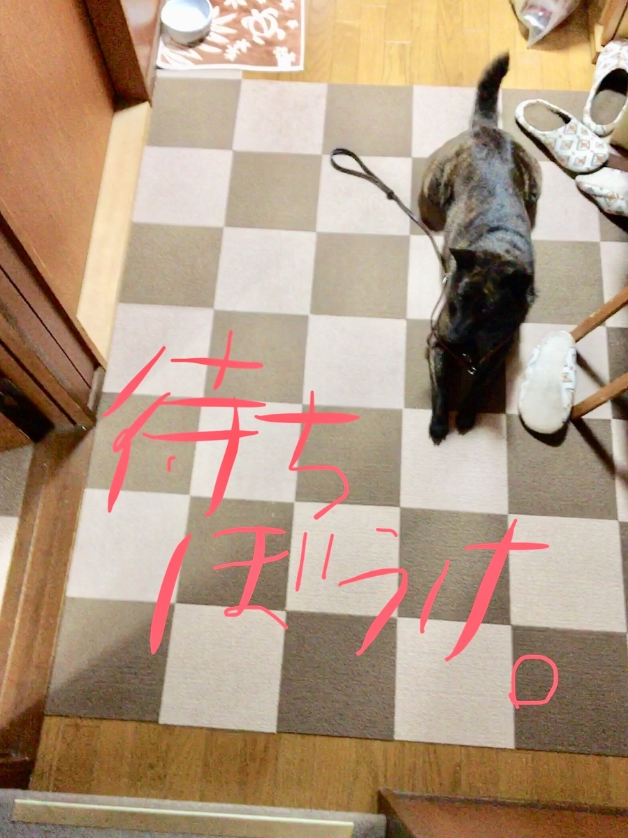 f:id:drunkard_kim:20190701080408j:plain