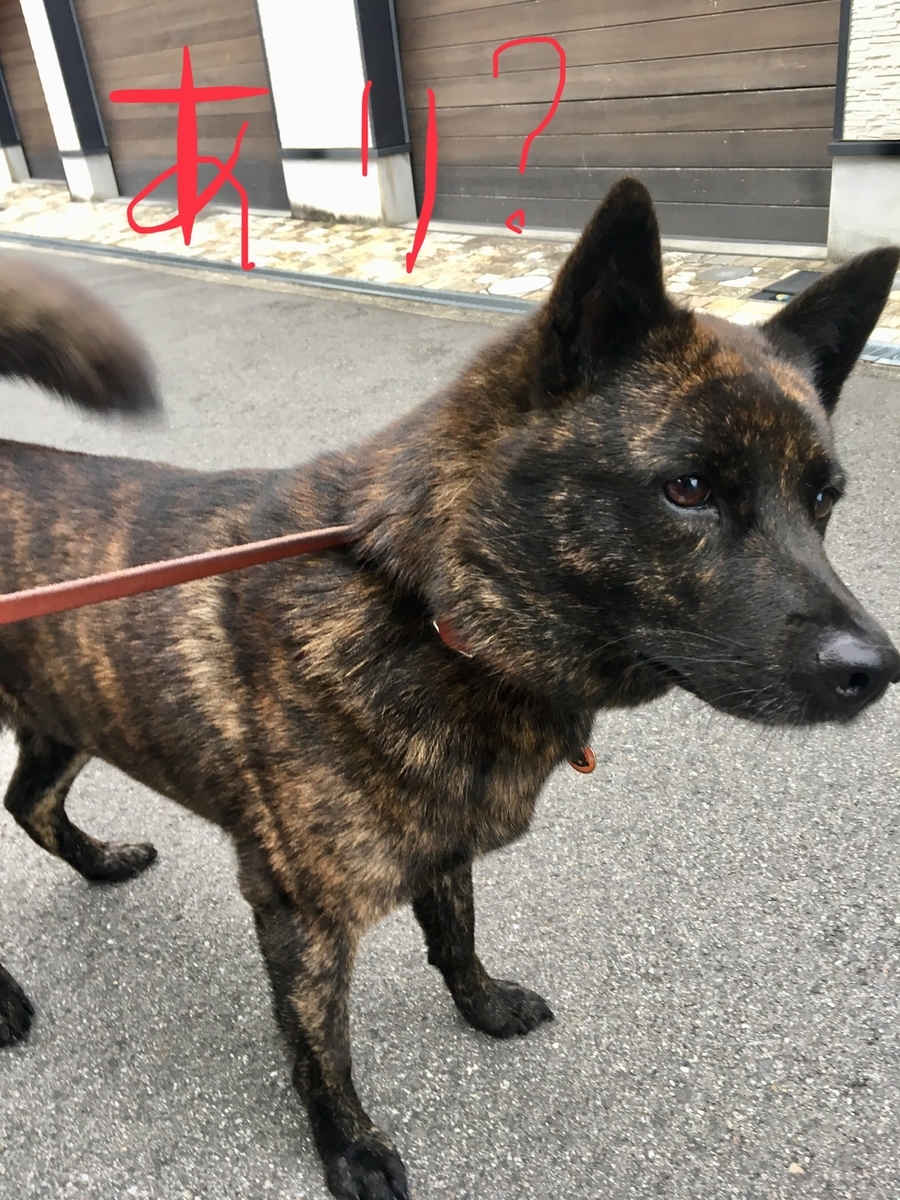 f:id:drunkard_kim:20190706080126j:plain
