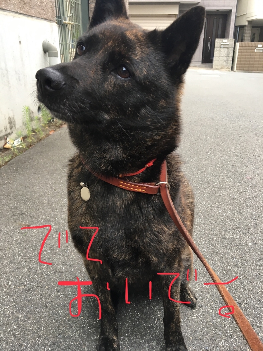 f:id:drunkard_kim:20190706080149j:plain