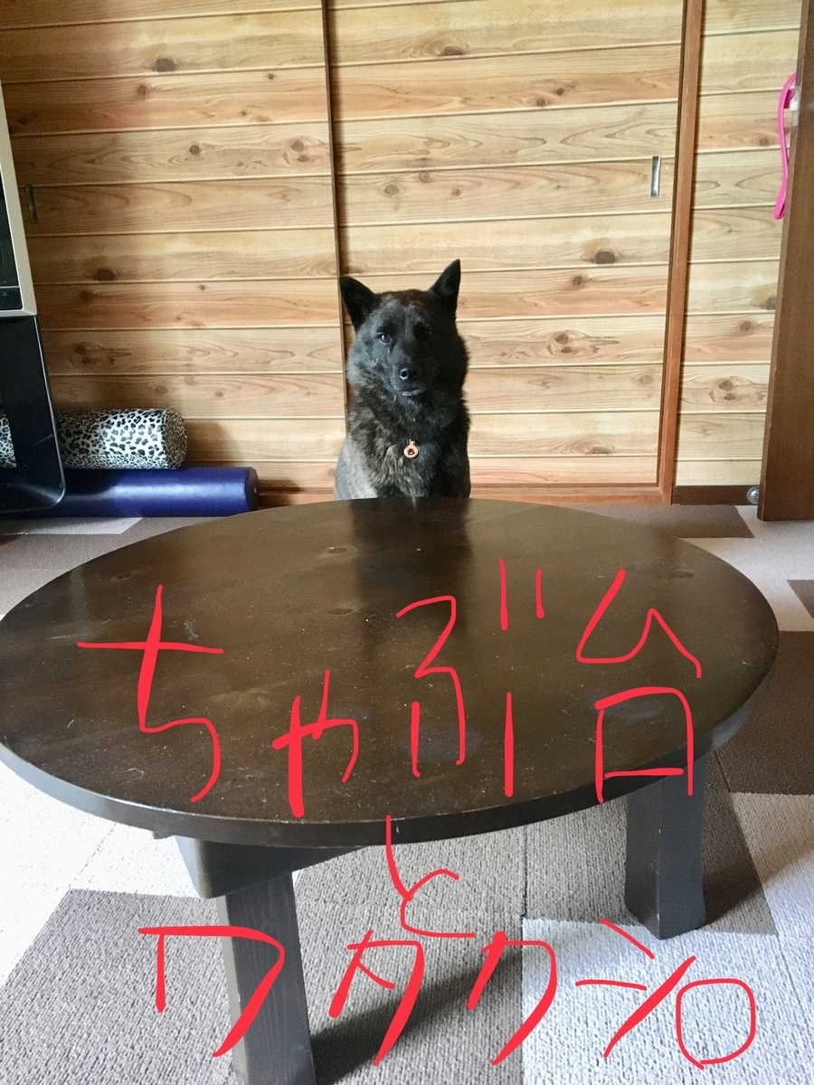 f:id:drunkard_kim:20190707133457j:plain