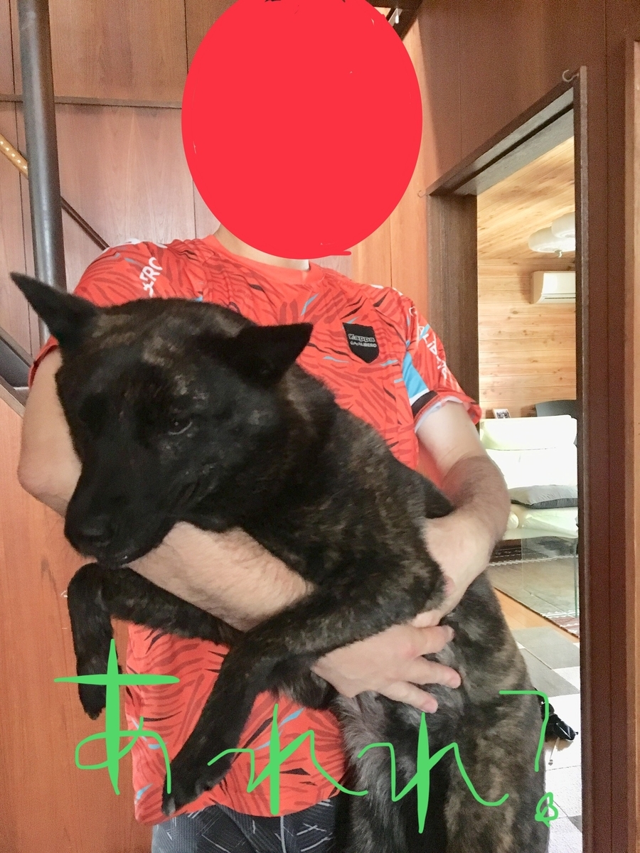 f:id:drunkard_kim:20190709114313j:plain