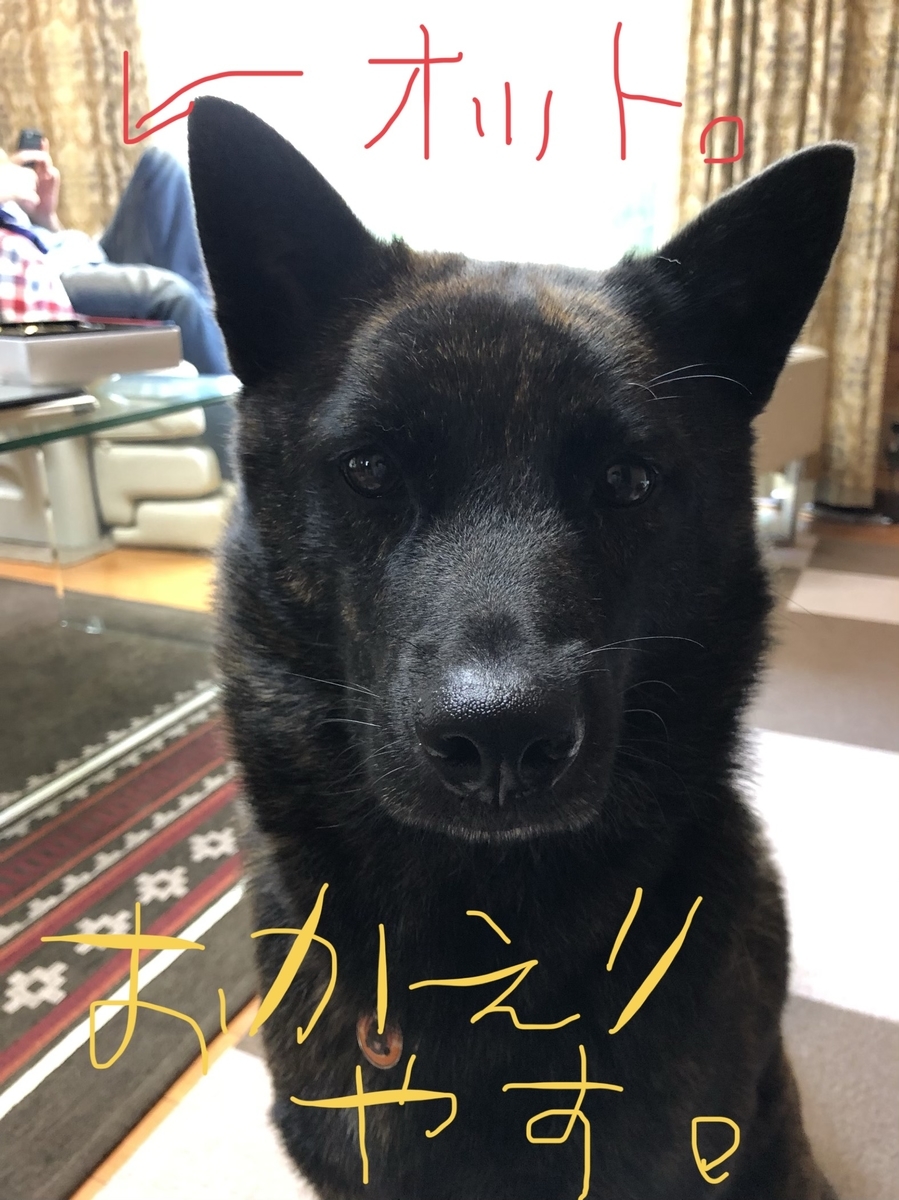 f:id:drunkard_kim:20190716132853j:plain