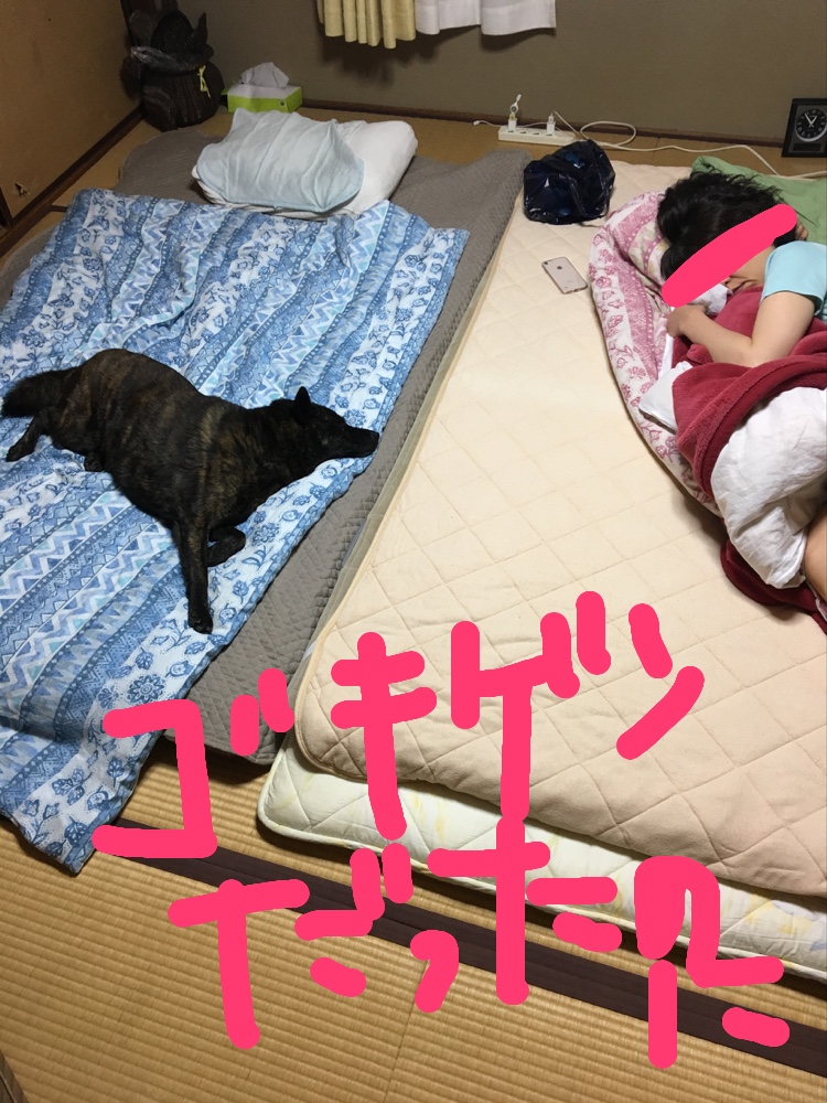f:id:drunkard_kim:20190717080048j:plain
