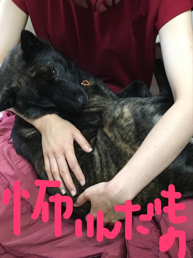 f:id:drunkard_kim:20190717080553j:plain f:id:drunkard_kim:20190717080553j:plain