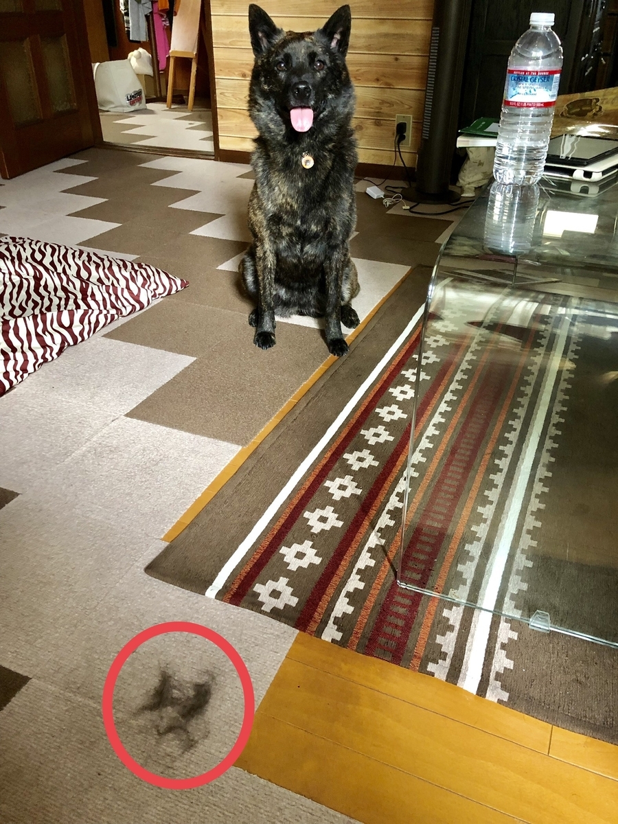 f:id:drunkard_kim:20190718080111j:plain
