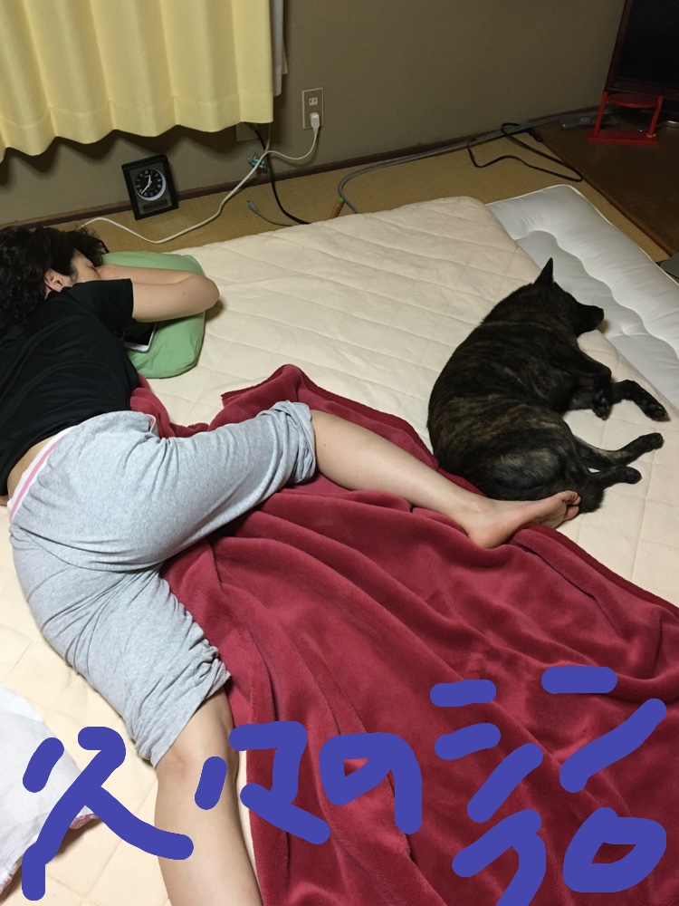 f:id:drunkard_kim:20190719081531j:plain