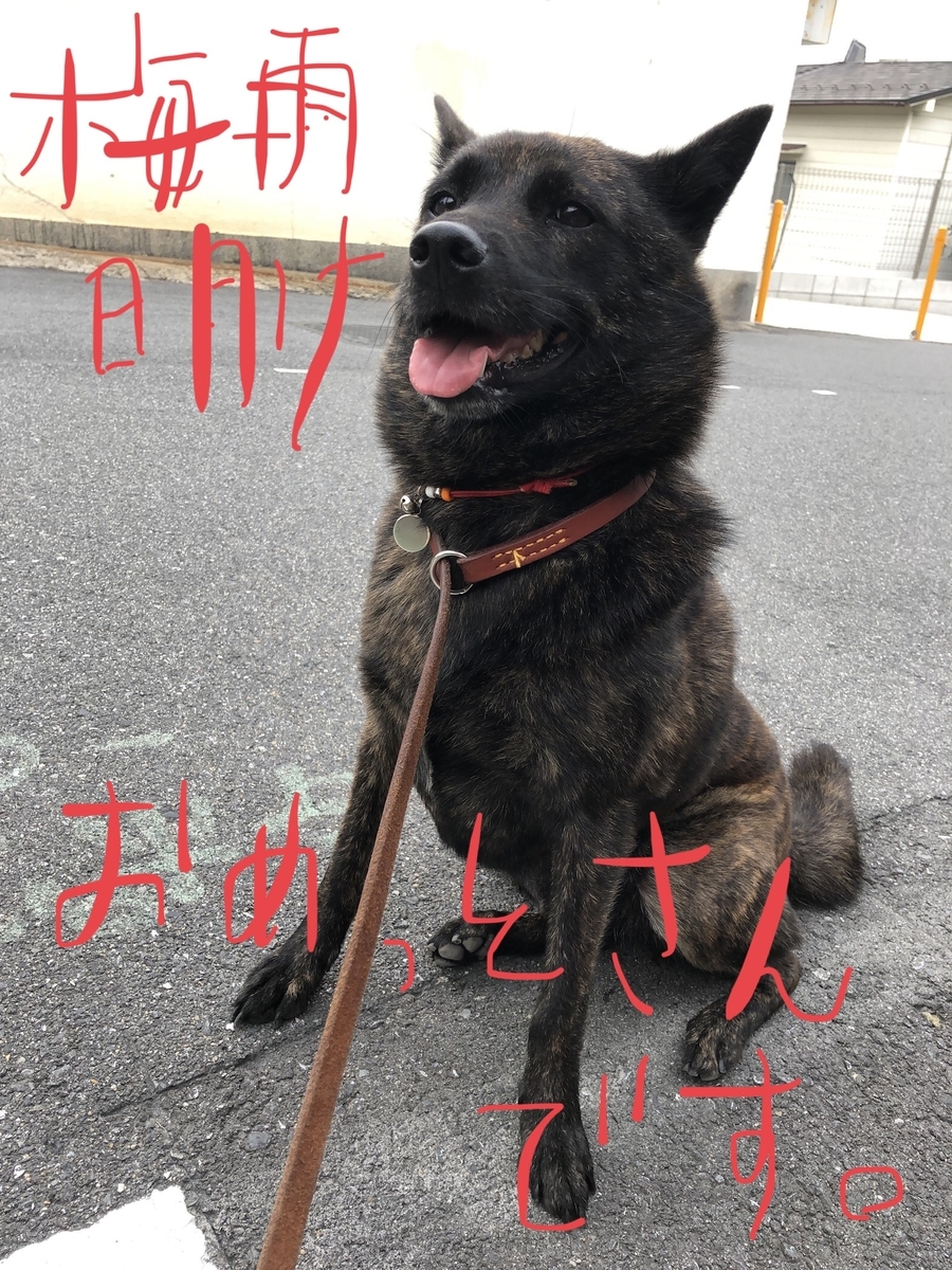 f:id:drunkard_kim:20190725080339j:plain