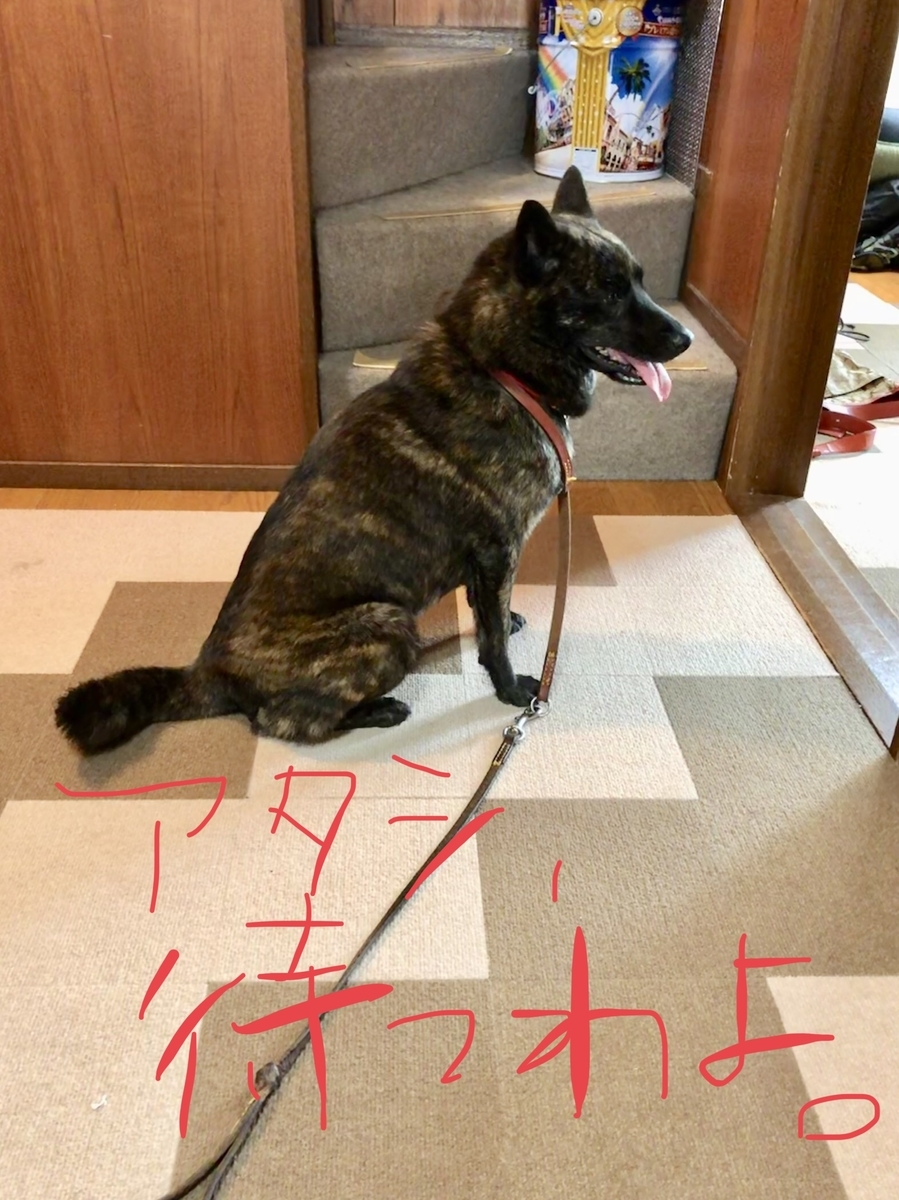 f:id:drunkard_kim:20190726081802j:plain