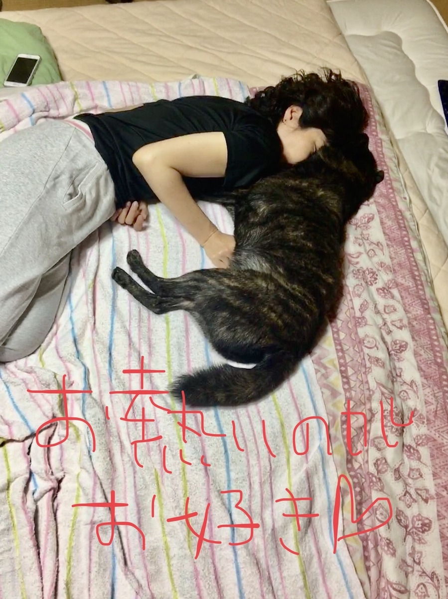 f:id:drunkard_kim:20190804085533j:plain