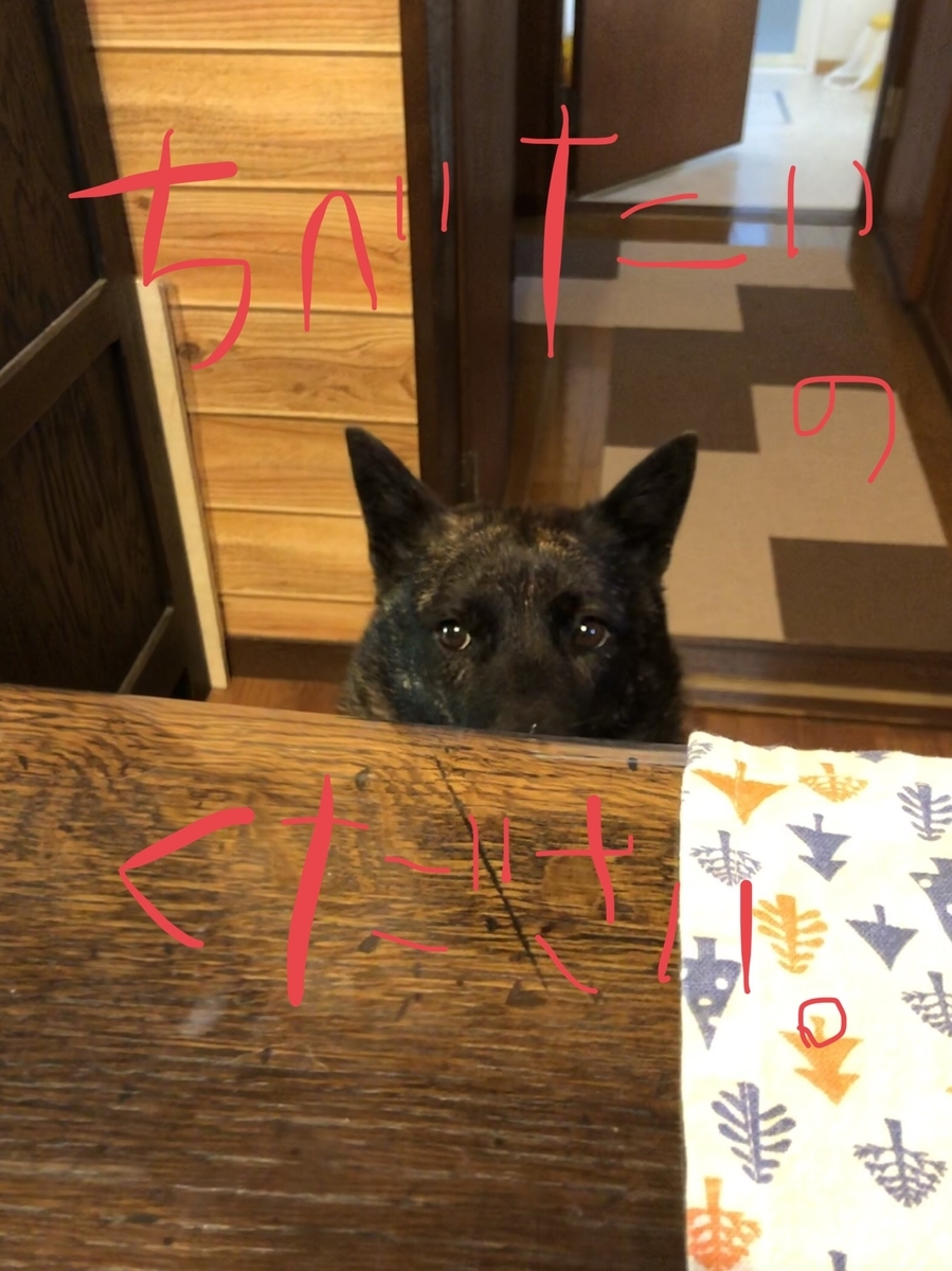 f:id:drunkard_kim:20190805080259j:plain