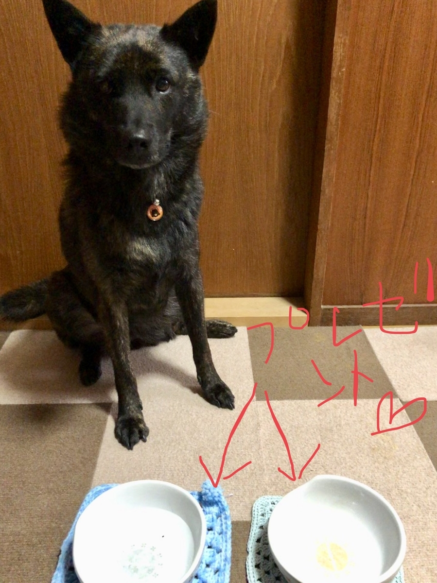 f:id:drunkard_kim:20190812085218j:plain