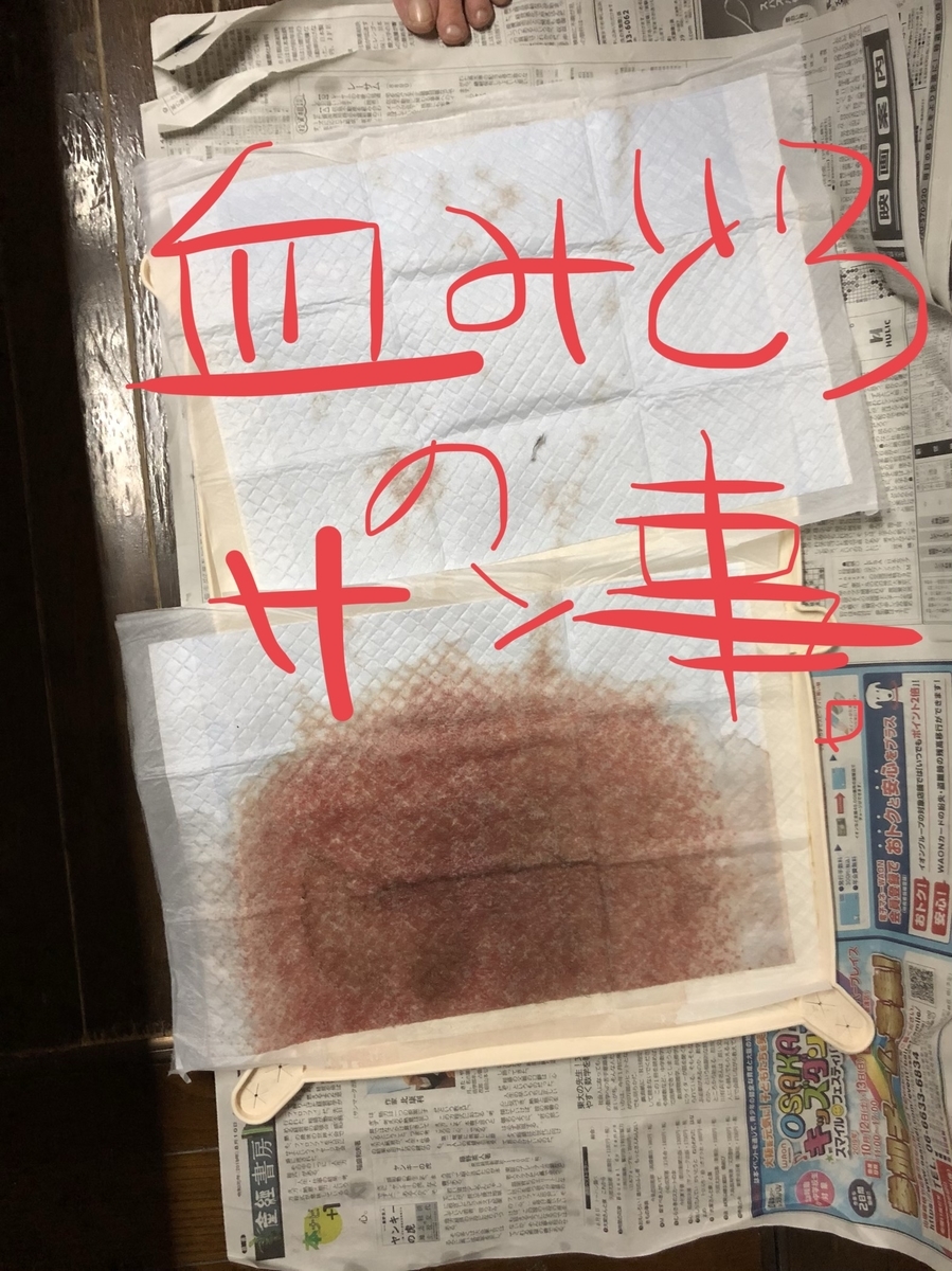 f:id:drunkard_kim:20190814100041j:plain