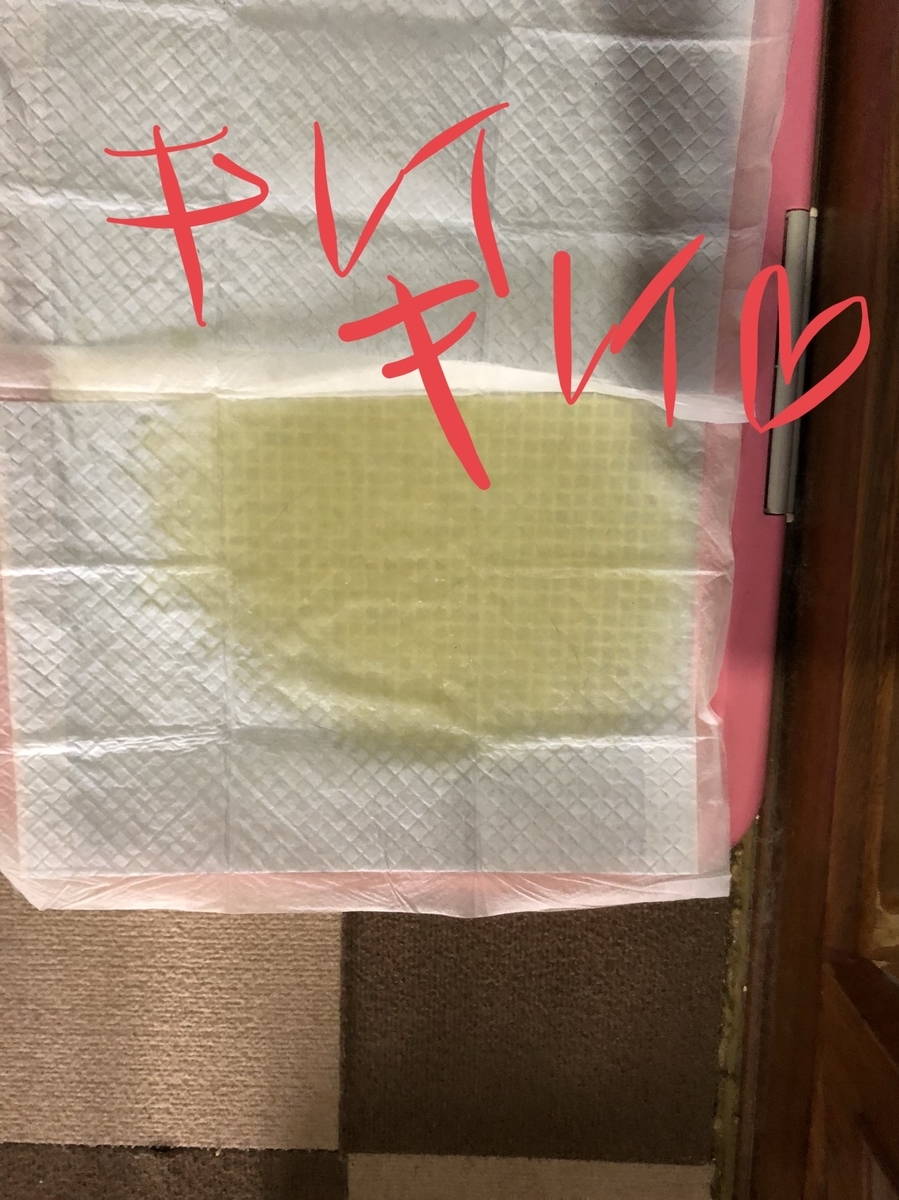 f:id:drunkard_kim:20190814100842j:plain