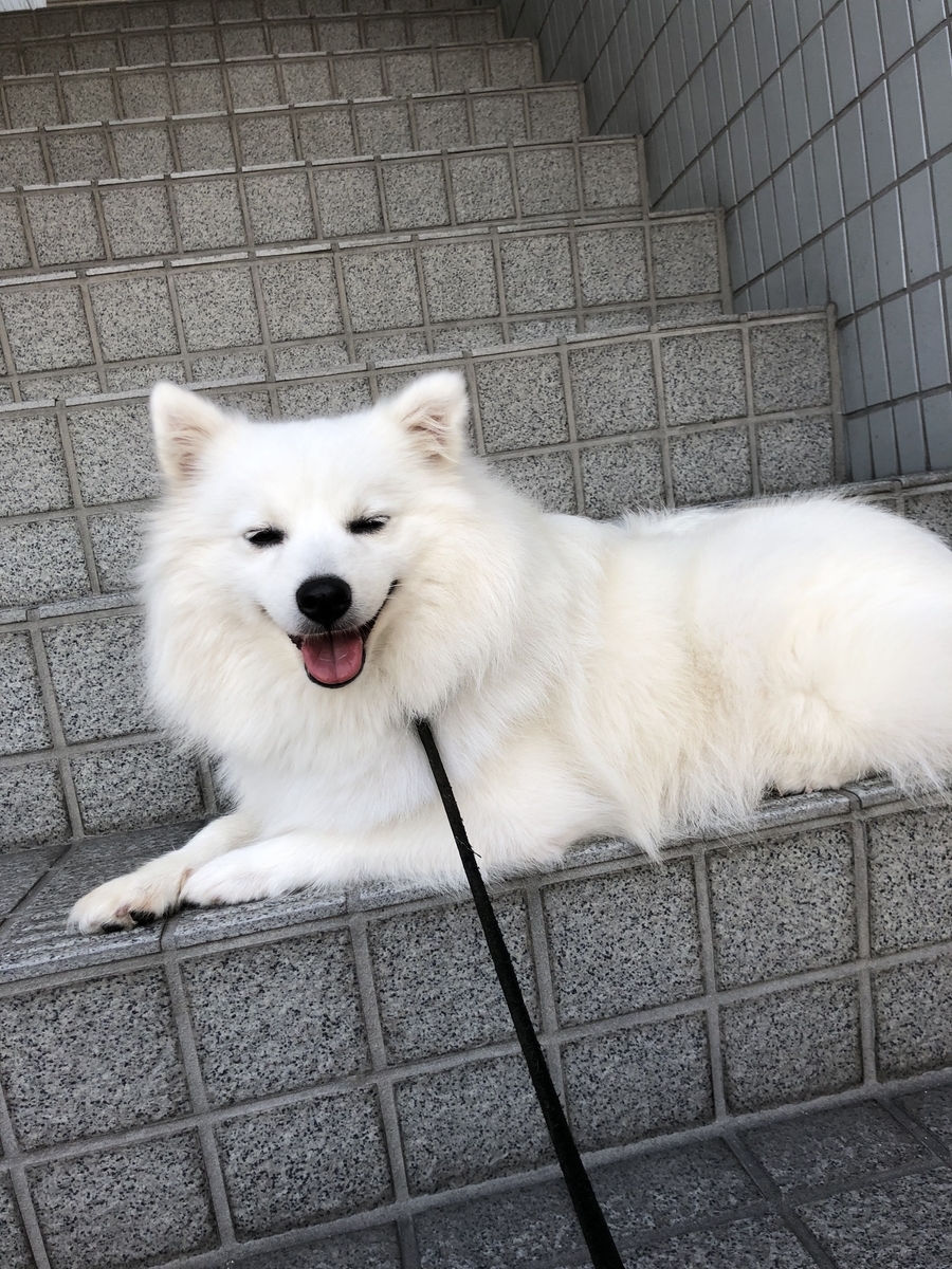 f:id:drunkard_kim:20190814101355j:plain