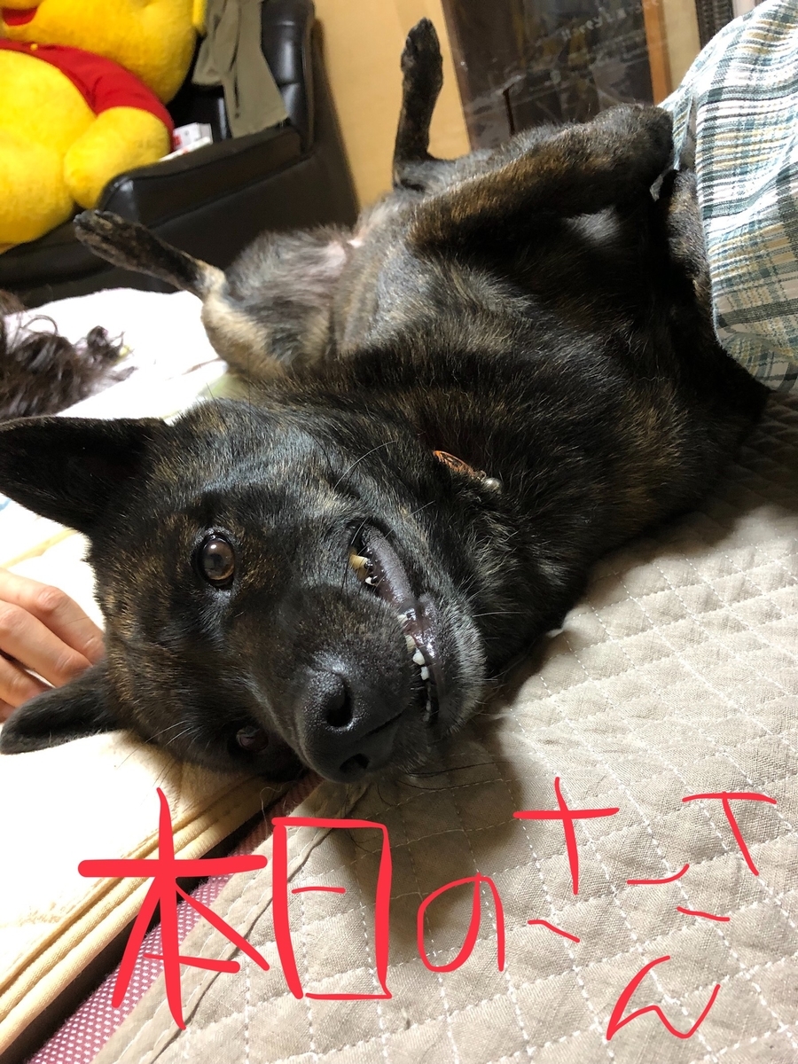 f:id:drunkard_kim:20190815075327j:plain