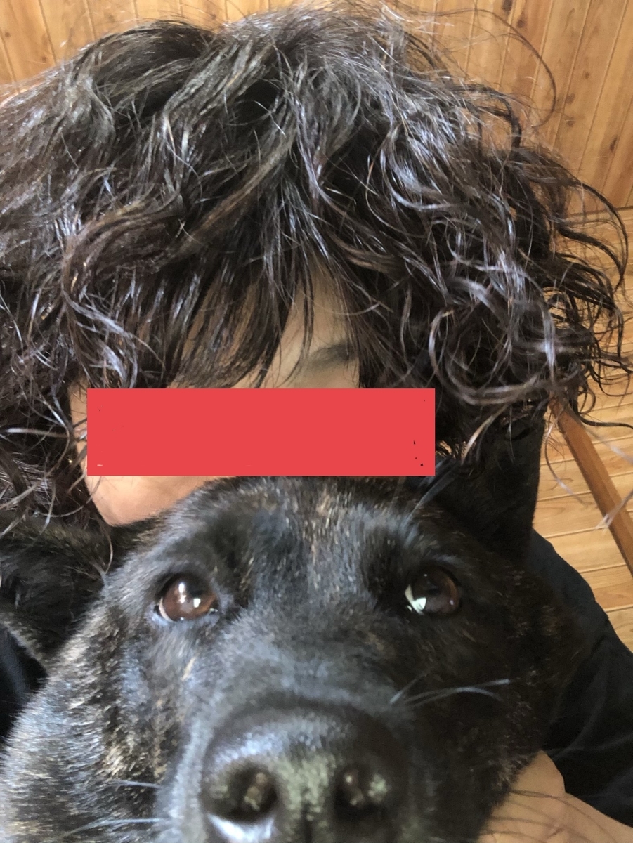 f:id:drunkard_kim:20190816081530j:plain