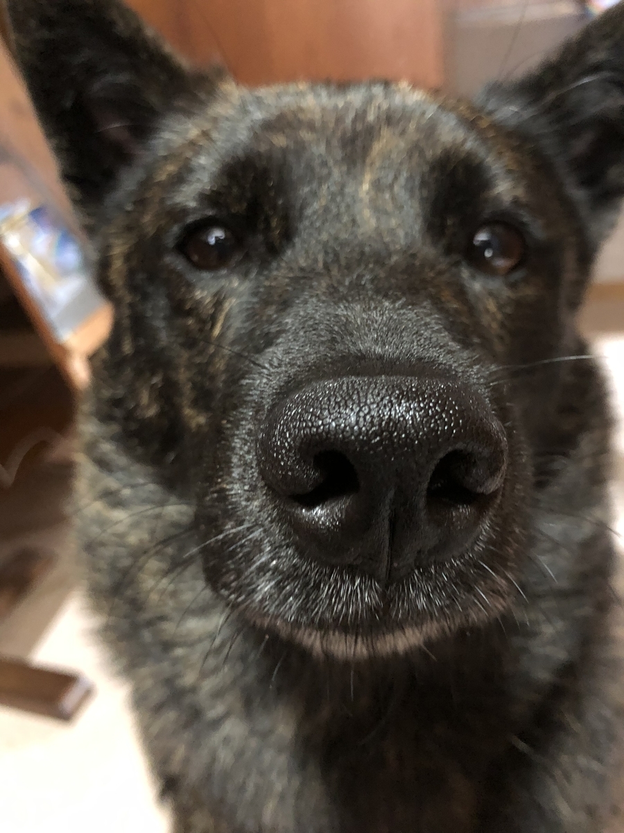 f:id:drunkard_kim:20190820132511j:plain