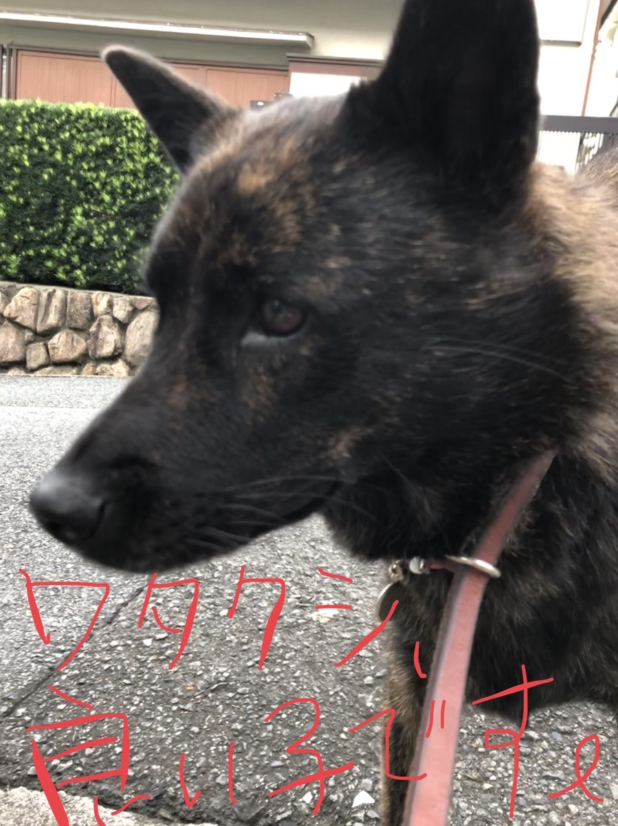 f:id:drunkard_kim:20190821080404j:plain