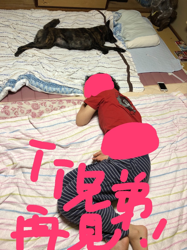 f:id:drunkard_kim:20190823080931j:plain