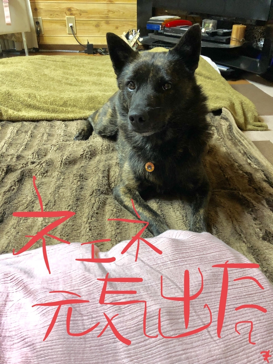 f:id:drunkard_kim:20190826080003j:plain