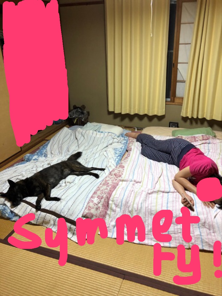 f:id:drunkard_kim:20190827105810j:plain