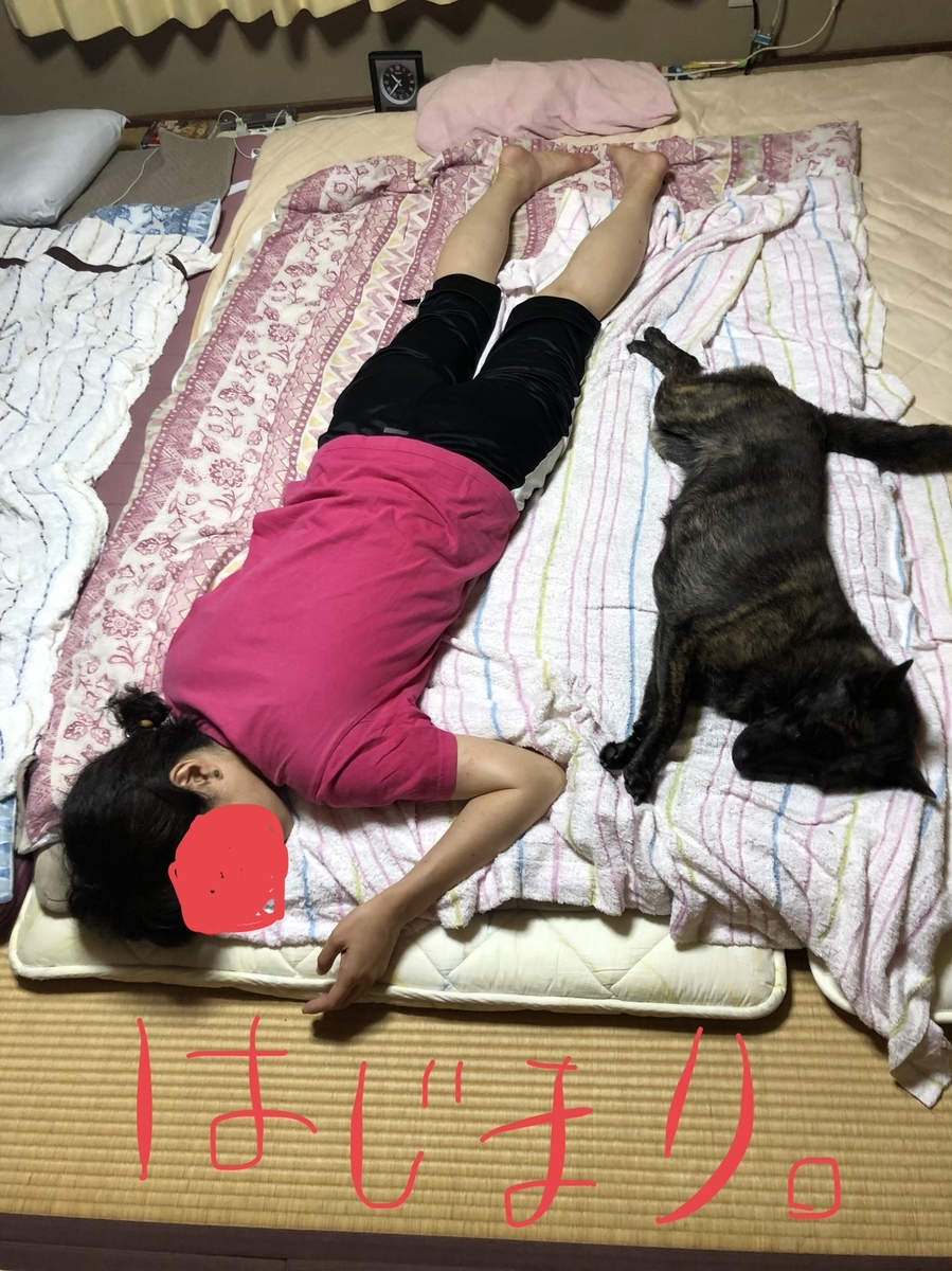 f:id:drunkard_kim:20190829080313j:plain