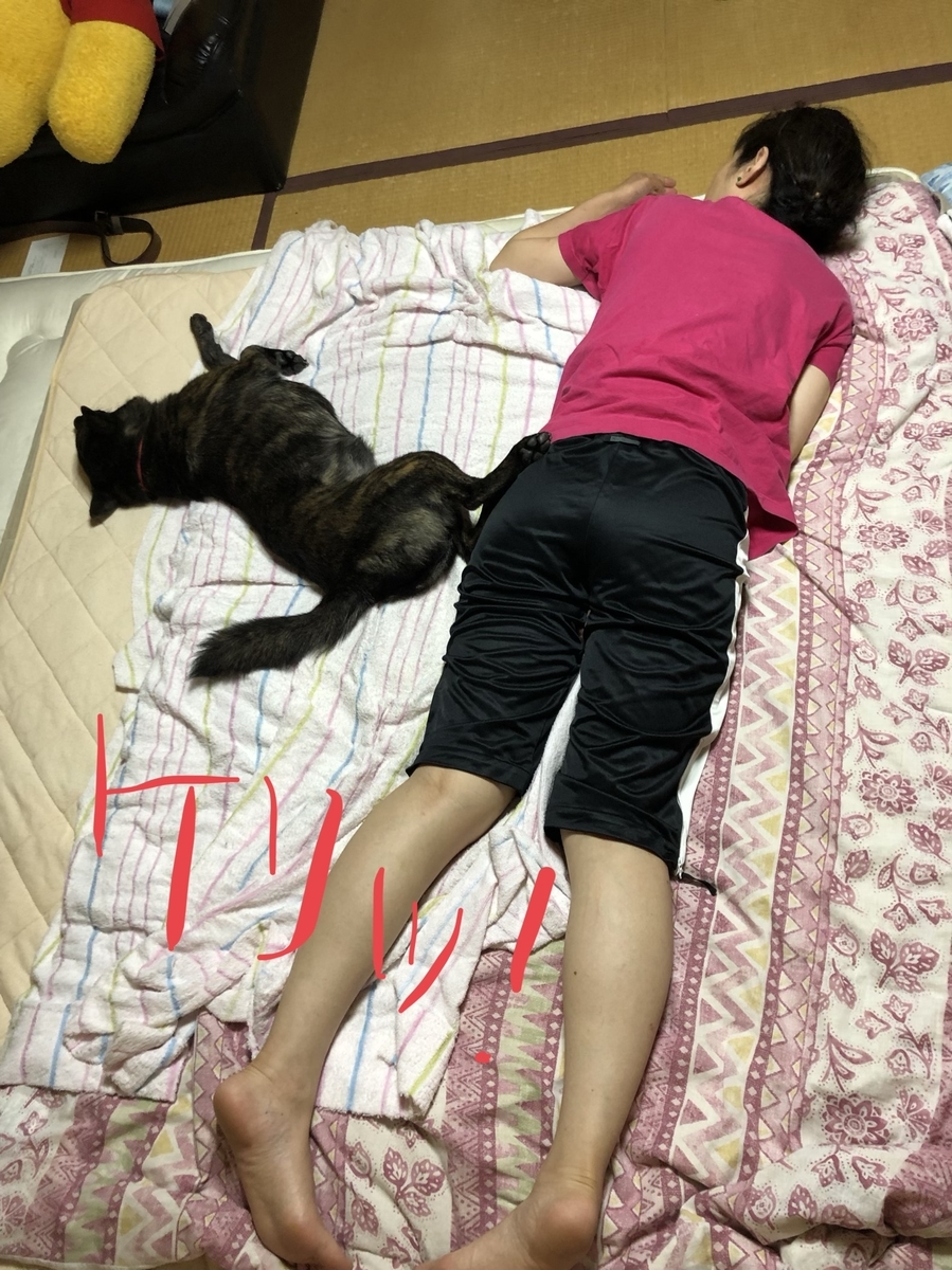 f:id:drunkard_kim:20190829080450j:plain