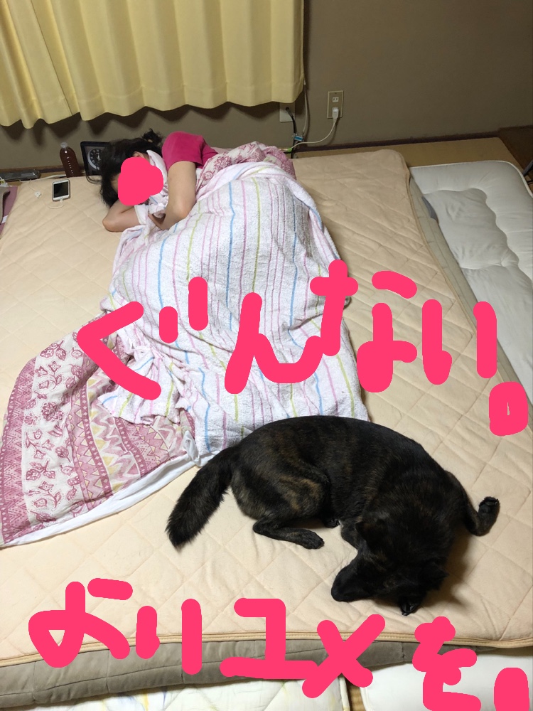 f:id:drunkard_kim:20190829080709j:plain