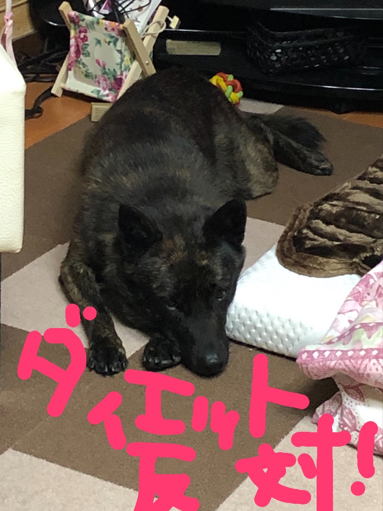 f:id:drunkard_kim:20190830081816j:plain