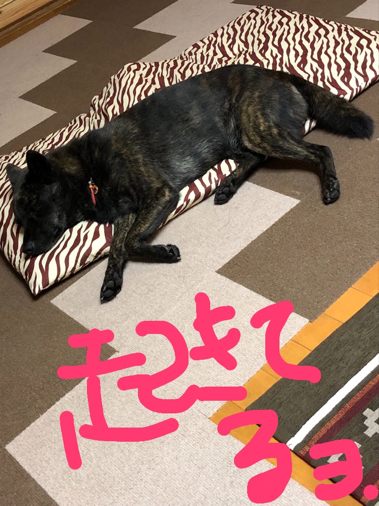 f:id:drunkard_kim:20190831084933j:plain