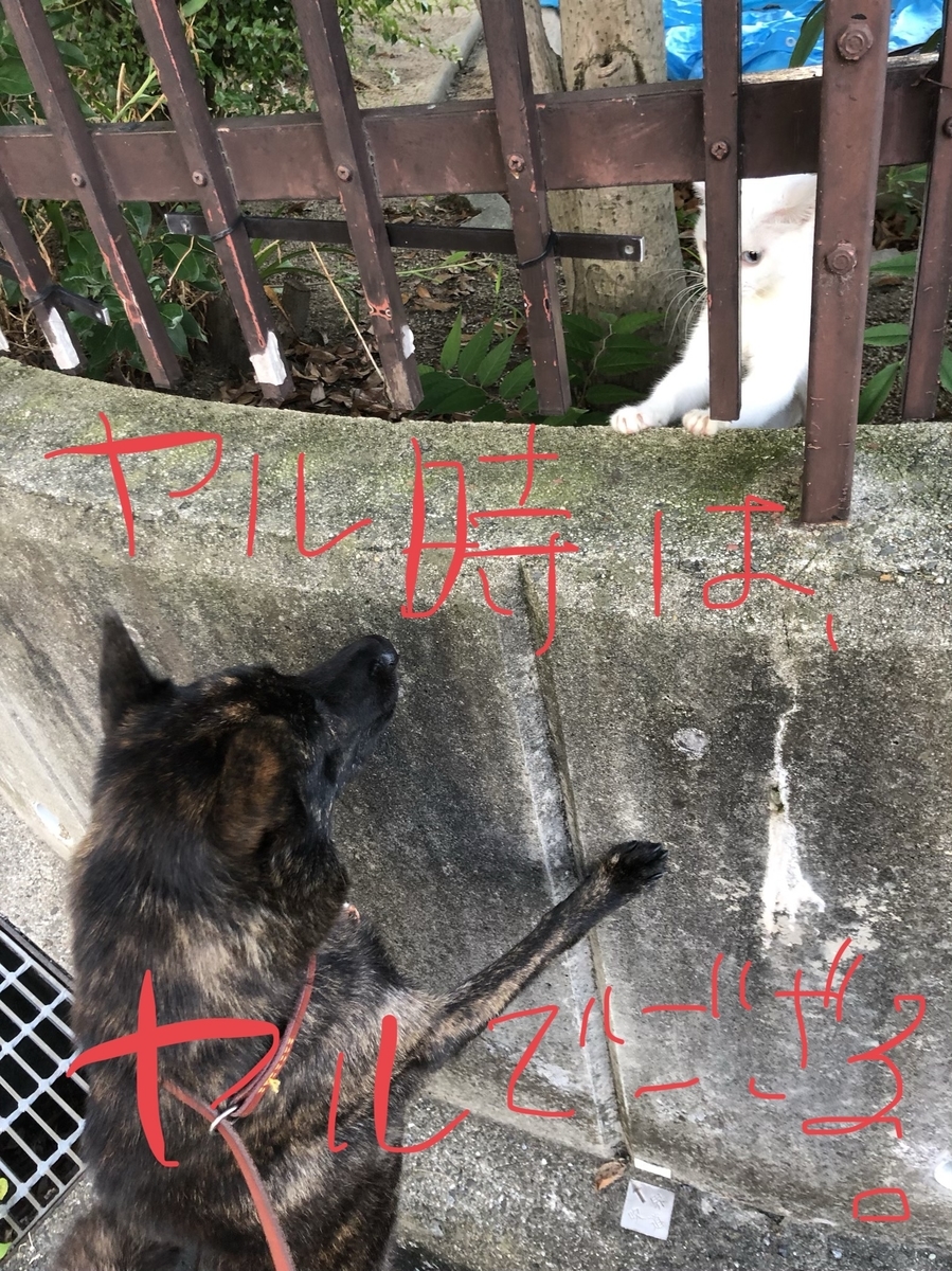 f:id:drunkard_kim:20190901112545j:plain