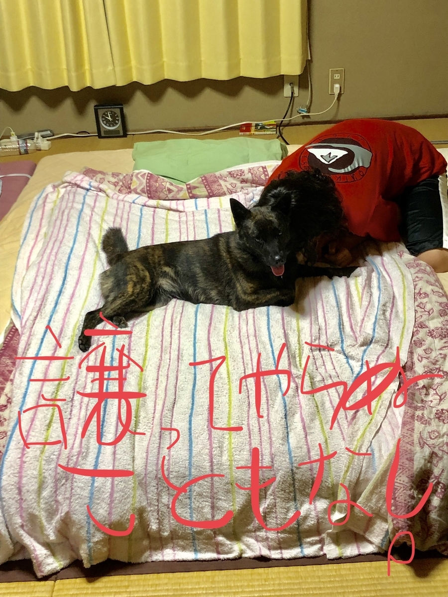 f:id:drunkard_kim:20190902081253j:plain