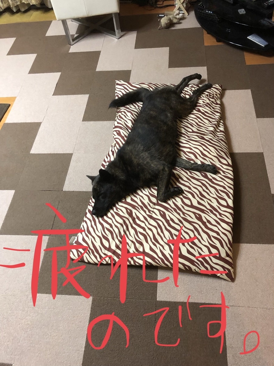 f:id:drunkard_kim:20190909075549j:plain