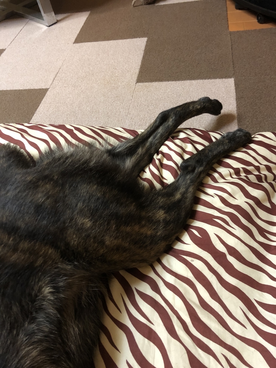 f:id:drunkard_kim:20190909075628j:plain