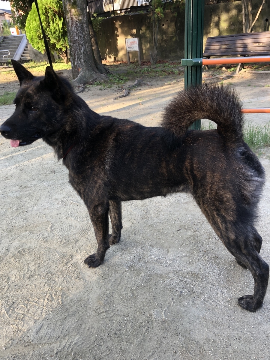 f:id:drunkard_kim:20190909075836j:plain