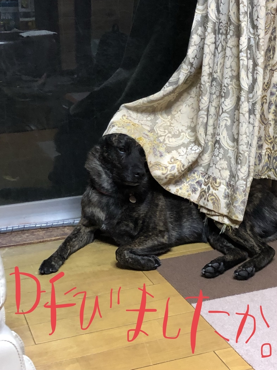 f:id:drunkard_kim:20190910105134j:plain