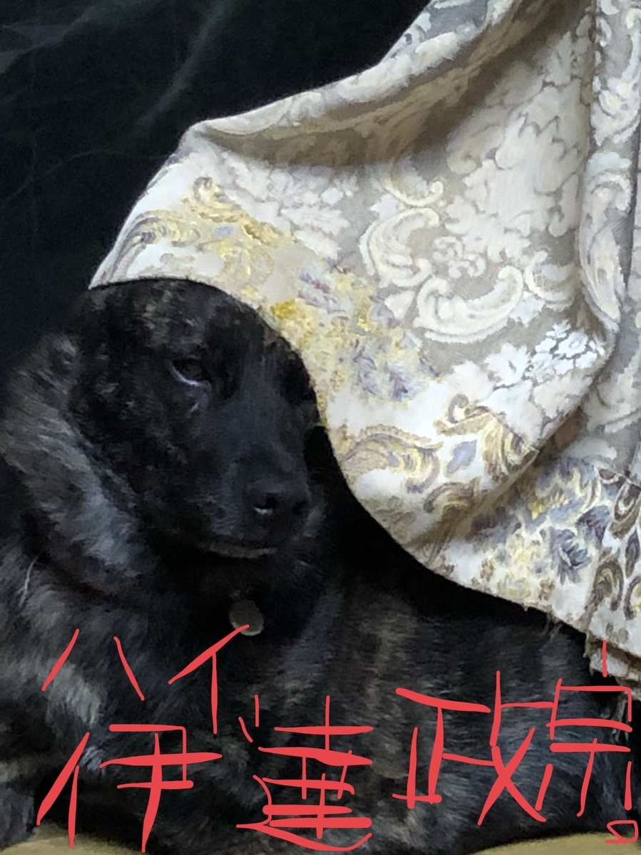 f:id:drunkard_kim:20190910105148j:plain