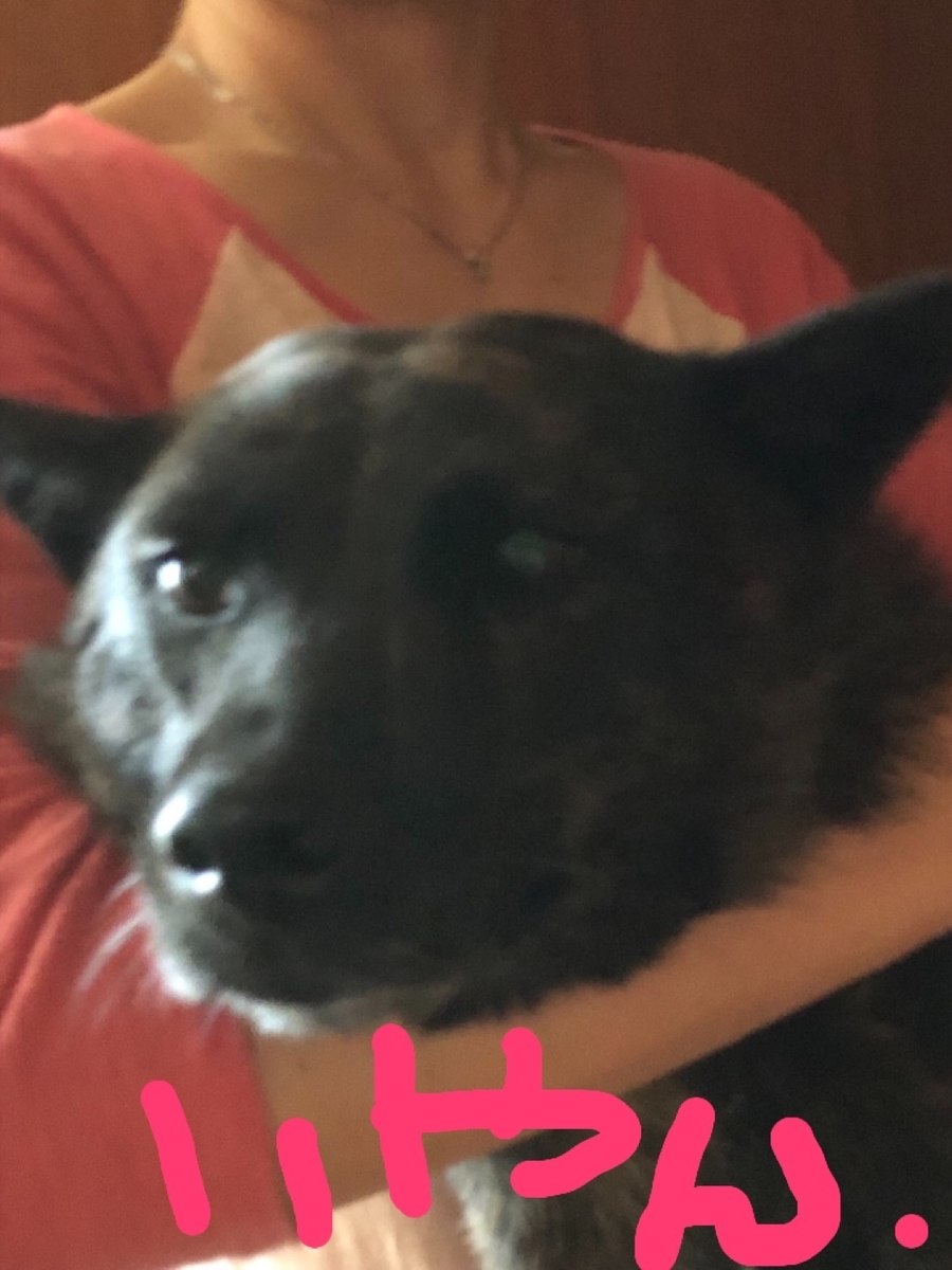 f:id:drunkard_kim:20190911080701j:plain