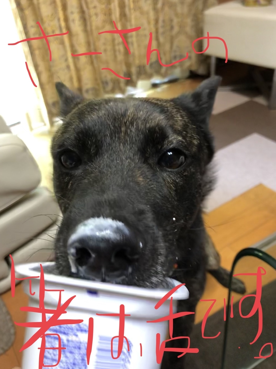 f:id:drunkard_kim:20190912080537j:plain