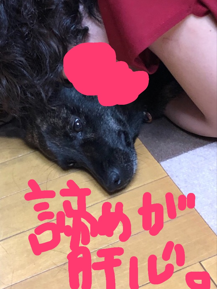 f:id:drunkard_kim:20190913075628j:plain